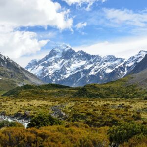 7 Days Lemosho Route Group Trek